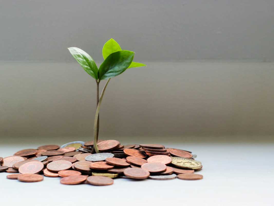 Fastest Growing Careers in Green Industries